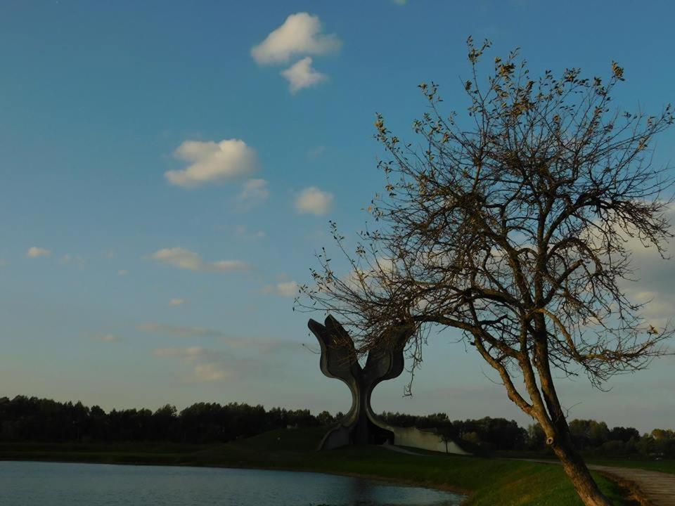 Jasenovac Kod Ribica B&B 외부 사진