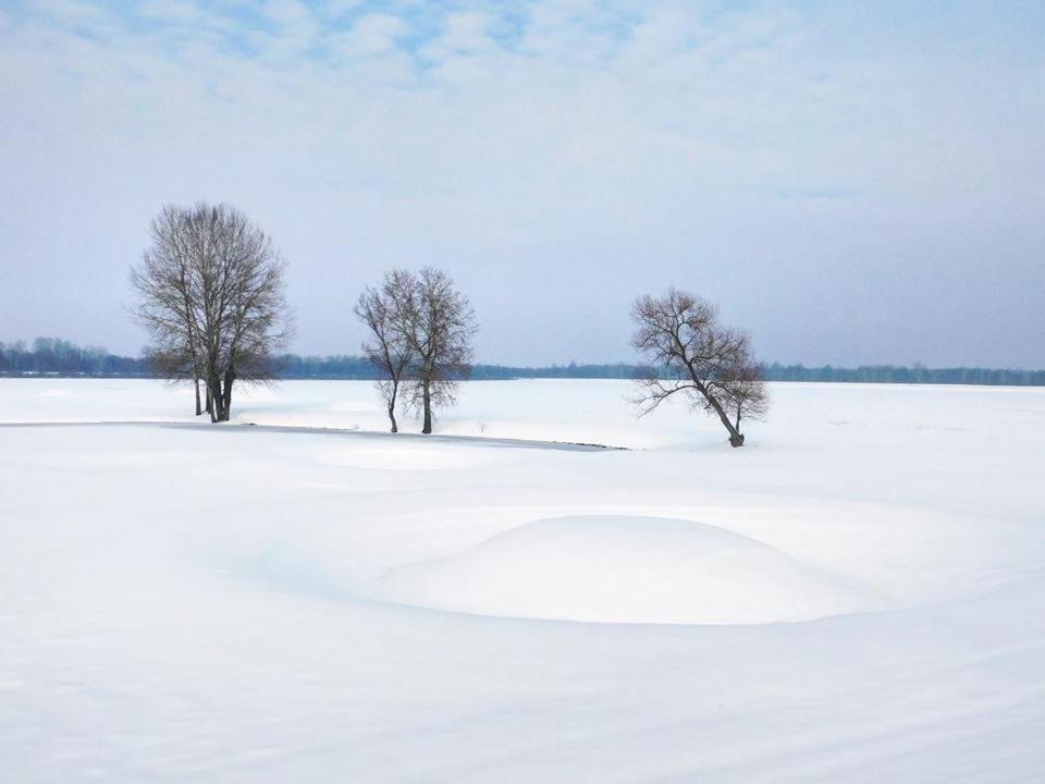 Jasenovac Kod Ribica B&B 외부 사진